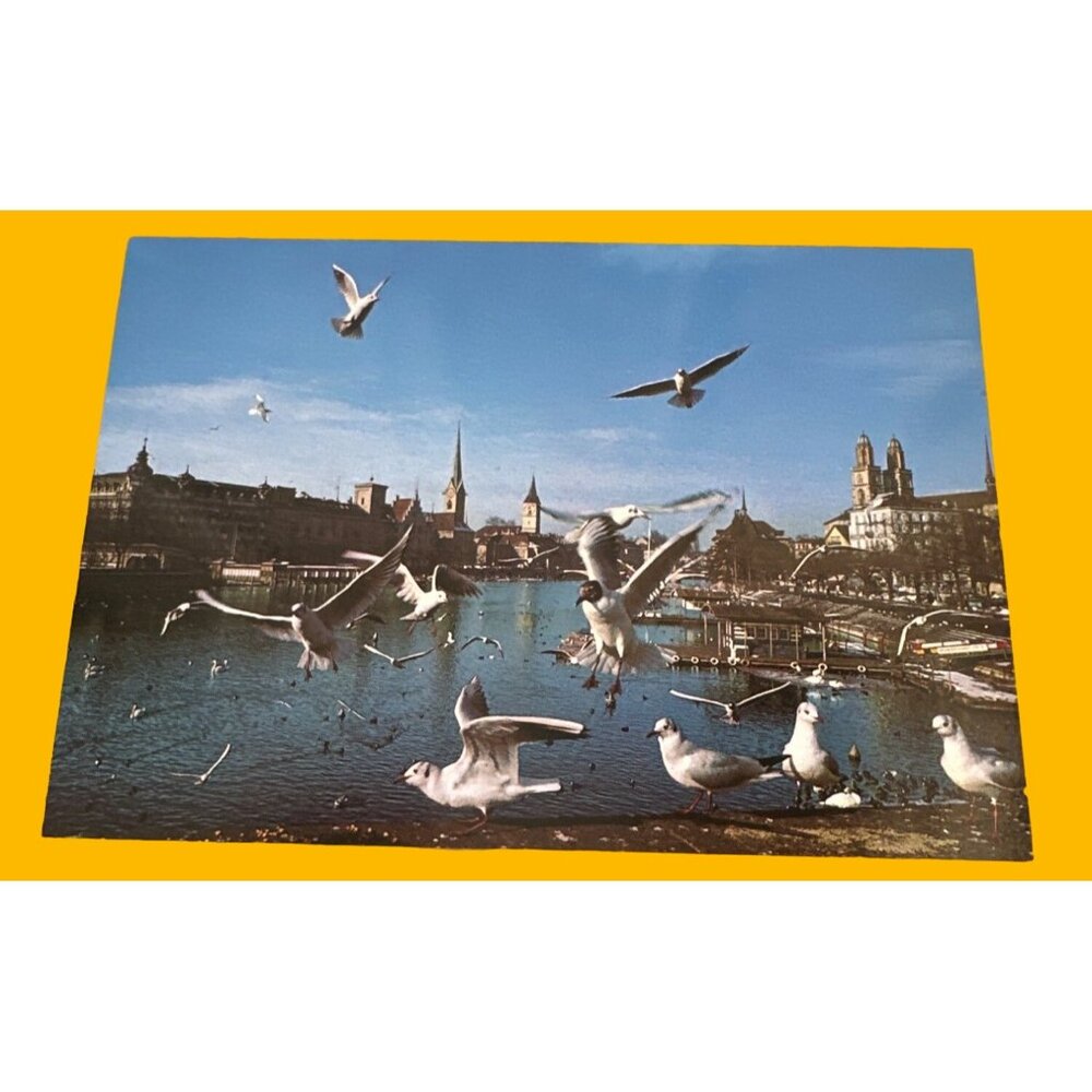 Vintage Zurich Postcard: Seagulls Over Limmat River
